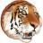 Стикерпак WWF