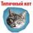Стикерпак Мемы с котом
