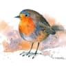 Telegram-канал Anna Petunova_watercolor