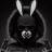Telegram-канал ANGRY BUNNY 🐰