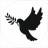 Telegram-группа 𝘾𝙮𝙥𝙧𝙪𝙨 𝙋𝙖𝙧𝙖𝙙𝙞𝙨𝙚🕊ЧАТ КИПР