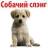 Стикерпак ? Собачий Слэнг
