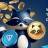 Telegram-канал Tap Raccoon Coin News