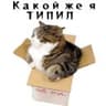 Стикерпак Колкие фразы