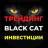 Telegram-канал BLACK CAT Трейдинг