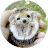 Стикерпак Kids Animals