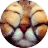 Стикерпак catsbySmol2