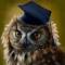 Канал Quiz | Голубь знаний 🦉 в Telegram
