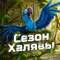 Канал Сезон Халявы🍃 в Telegram