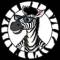 Канал $DJZEBRA | SOLANA | OFFICIAL CHANNEL в Telegram