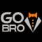 Канал GoBro! в Telegram