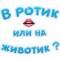 Стикеры В ротик или на животик в Telegram