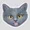 Канал пылесборник в Telegram