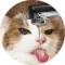 Стикеры Котики и кошечки в Telegram