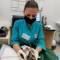 Канал dr.anzhel_vet в Telegram