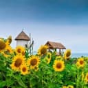 Канал ☀️ Детский сад 219 ☀️ в Telegram