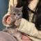 Канал ˗ˏ 𖧷 сказочный мир ˚✧ ꒱ в Telegram