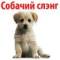 Стикеры ? Собачий Слэнг в Telegram