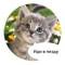 Стикеры Злые животные в Telegram