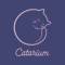 Канал Catarium 🇺🇦 в Telegram
