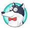 Канал ХаХаски | Юмор в Telegram