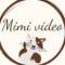 Канал MIMI_VIDEO Животные в Telegram