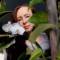 Канал 🧚‍♀Ира и Листья растений / Ira and Beautiful plant leaves🪴 в Telegram