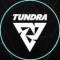 Канал Tundra Esports в Telegram