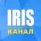 Канал Iris | Чат-менеджер | Канал в Telegram