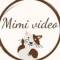 Канал MIMI_VIDEO Животные в Telegram