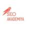 Канал Академия SEO - Павел Шульга в Telegram