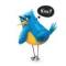 Стикеры Соловей в Telegram