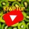 Канал Абхазия Сочи Kiwi Tur 🥝 в Telegram