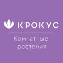 Канал Комнатные растения «Крокус» в Telegram