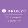 Telegram-канал Комнатные растения «Крокус»