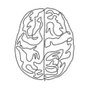 Канал ANATOMY FACT в Telegram