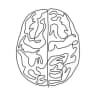Telegram-канал ANATOMY FACT