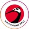 Telegram-канал Якитория Калининград