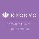 Канал Комнатные растения «Крокус» в Telegram