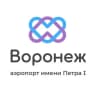 Telegram-канал Аэропорт Воронеж