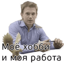 Стикеры Веб-студия Сокол в Telegram