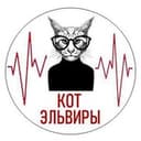 Канал Кот Эльвиры в Telegram