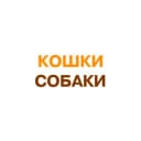 Канал Кошки-собаки Красноярска. 2999999. в Telegram