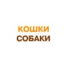Telegram-канал Кошки-собаки Красноярска. 2999999.