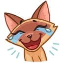 Стикеры Сиамская кошечка в Telegram