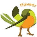 Стикеры Колибри в Telegram