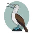 Стикеры Персик и Олуша в Telegram