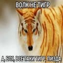 Стикеры Антицирк в Telegram