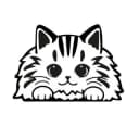 Канал LMpets - дом кошачьего счастья 😻 Здесь находят друг друга 💞 в Telegram