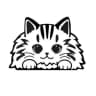 Telegram-канал LMpets - дом кошачьего счастья 😻 Здесь находят друг друга 💞